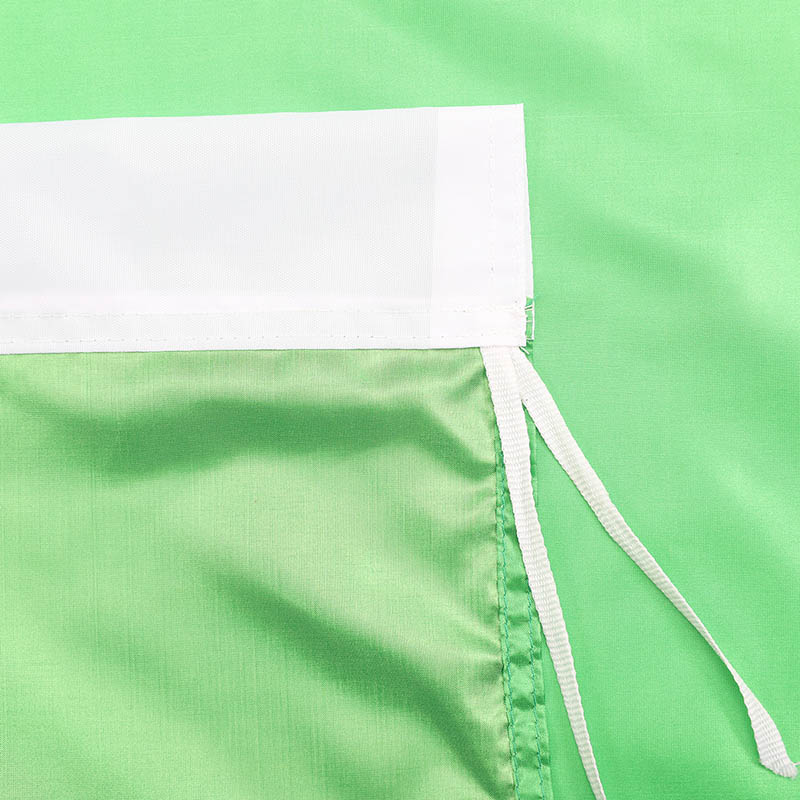 Brazilian flag-4.jpg